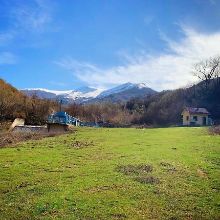 Villa Orka Pelister - Forest Zone Bitola Ngoại thất bức ảnh