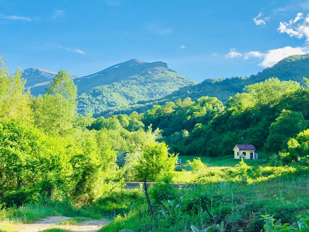 Villa Orka Pelister - Forest Zone Bitola Ngoại thất bức ảnh