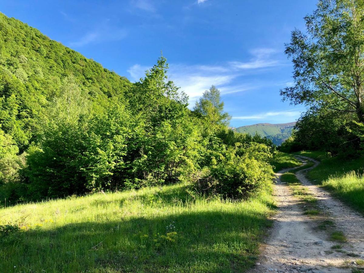 Villa Orka Pelister - Forest Zone Bitola Ngoại thất bức ảnh